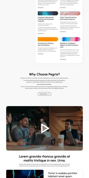 Pegria cybersecurity company website designed by DMS with service grid, video demo, and enterprise client testimonials