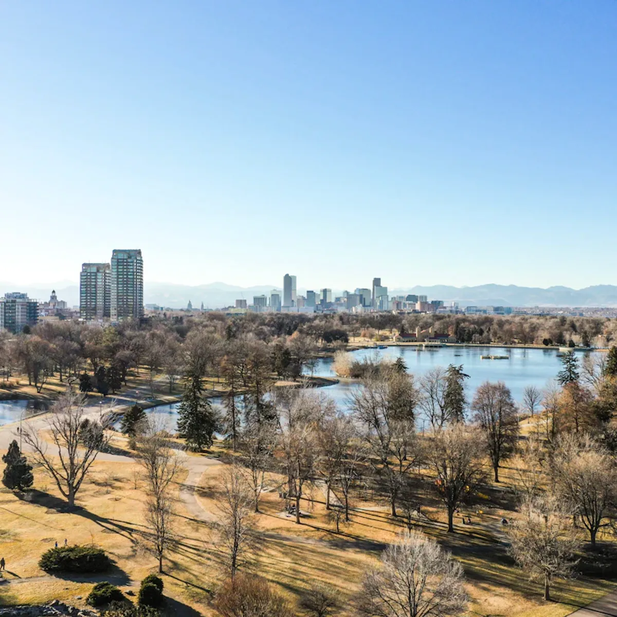 Digital marketing expertise in Denver