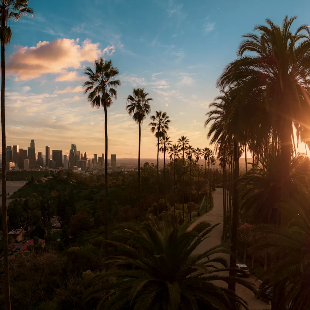 Digital marketing expertise in Los Angeles